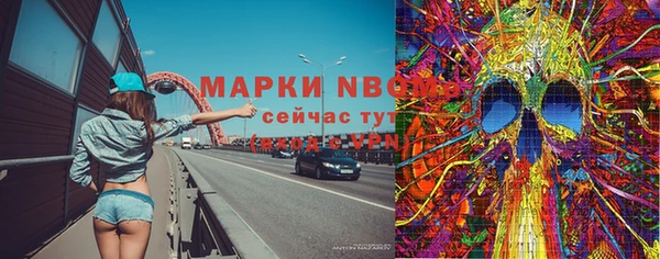 мдпв Абаза