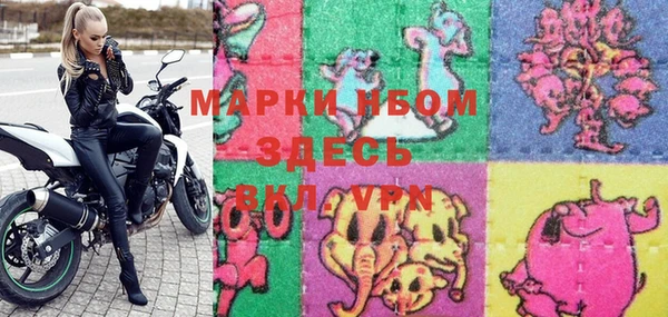 мдпв Абаза