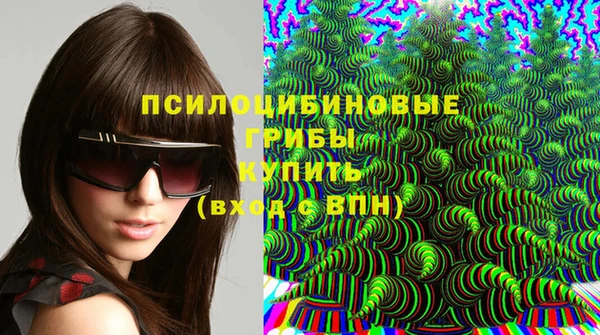 мдпв Абаза