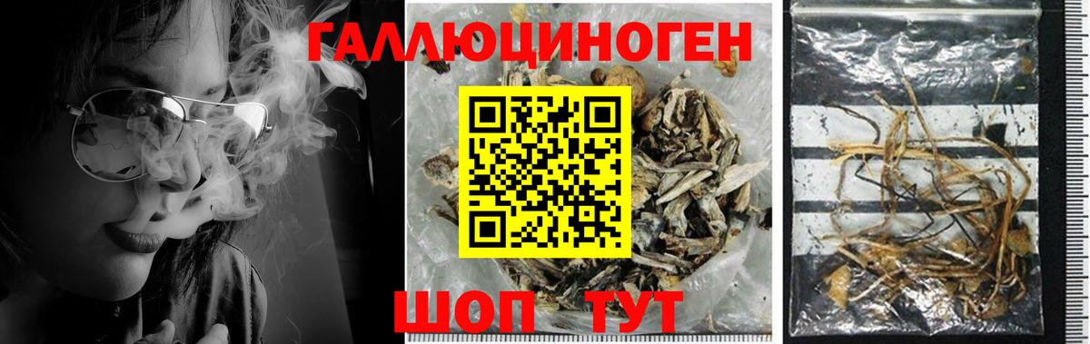 Псилоцибиновые грибы ЛСД  купить закладку  Галлюциногенные грибы GOLDEN TEACHER  Ивантеевка  Вход с VPN 