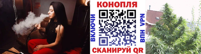 Каннабис ГИДРОПОН  сайты даркнета телеграм  Ивантеевка 